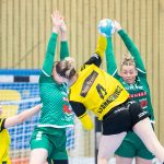 Skuru-Sävehof januari 2025 Handbollsligan.