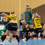 Skuru-Sävehof januari 2025 Handbollsligan.