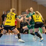 Skuru-Sävehof januari 2025 Handbollsligan.