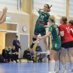 F 16 och USM Steg 1 – En riktig målfest