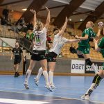 Skuru-Boden i Handbollsligan