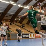 Skuru-Boden i Handbollsligan