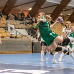 Skuru-Boden i Handbollsligan