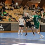 Skuru-Boden i Handbollsligan