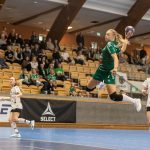 Skuru-Boden i Handbollsligan