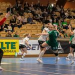 Skuru-Boden i Handbollsligan