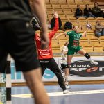 Skuru-Boden i Handbollsligan
