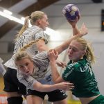 Skuru-Önnered januari 2025