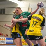 Säsongen över för damerna