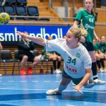 Förlust – men Nacka HK stod upp bra i seniorpremiären
