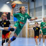Tre dagar, 315 matcher och massor av handboll i Skurucupen