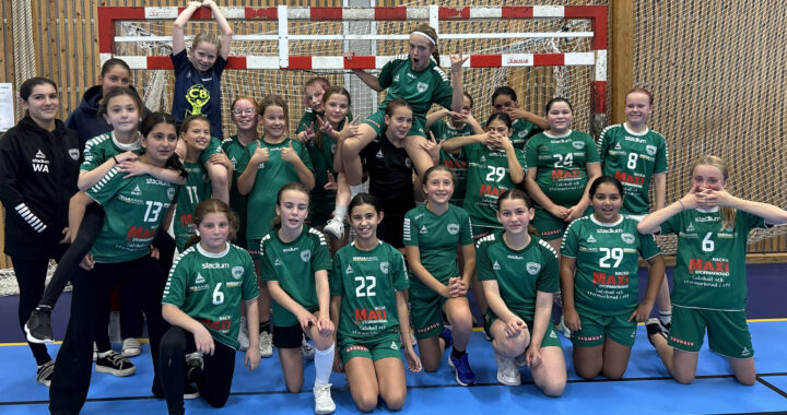 Handbollsglädje och gemenskap när Fisksätra mötte Skuru F2015