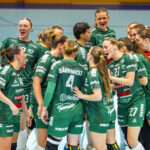 Skuru vill inspirera NIU-elever med handboll på högsta nivå